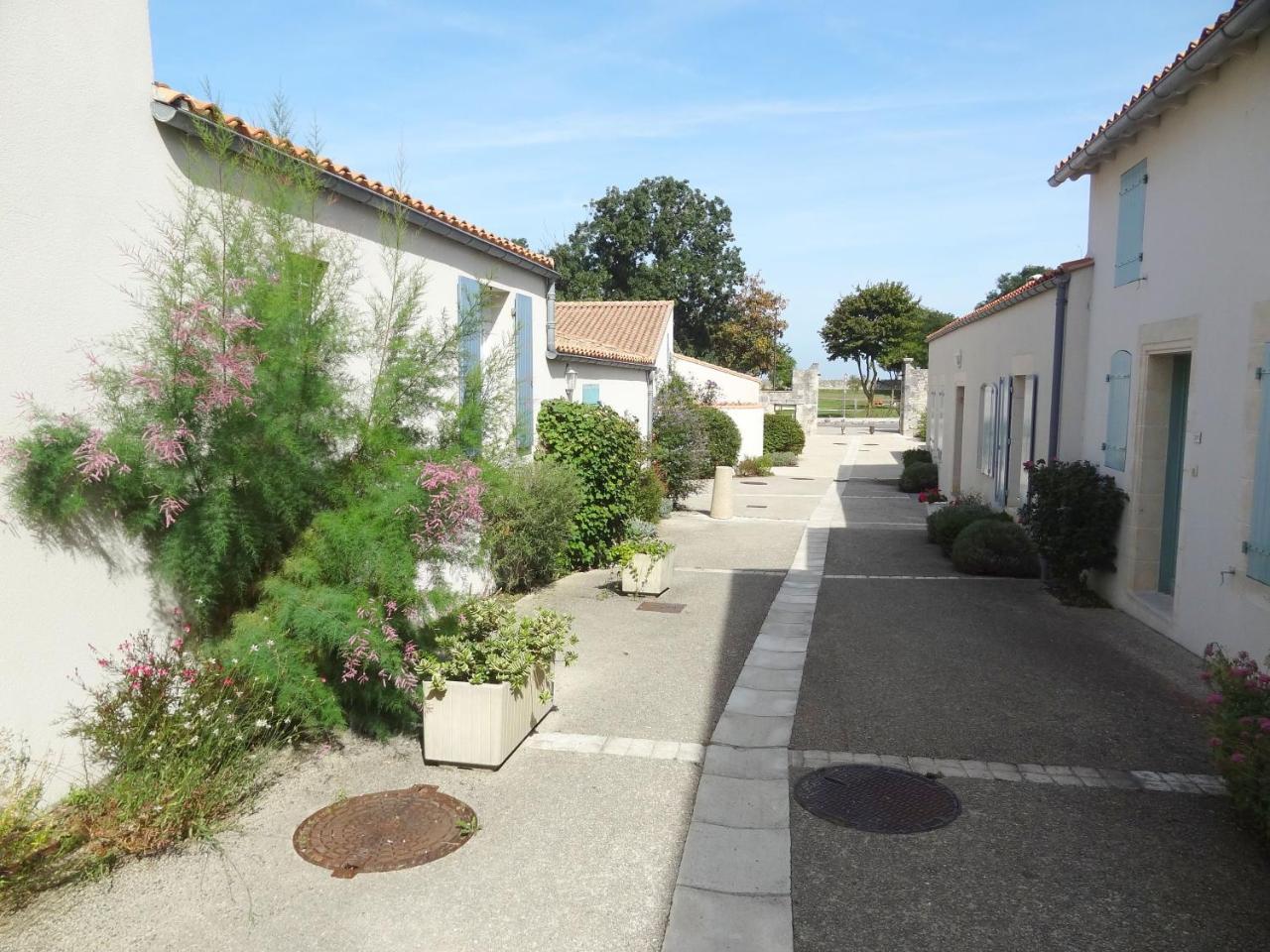 Appartement Silene Saint-Martin-de-Ré Zewnętrze zdjęcie